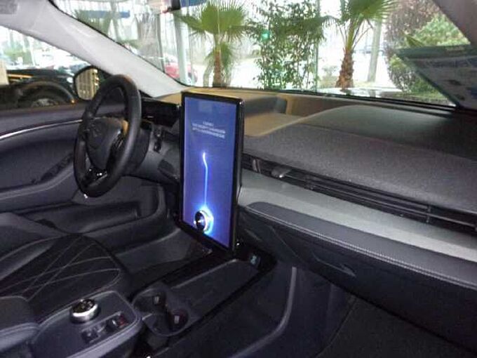 Ford Mustang Mach-E Basis