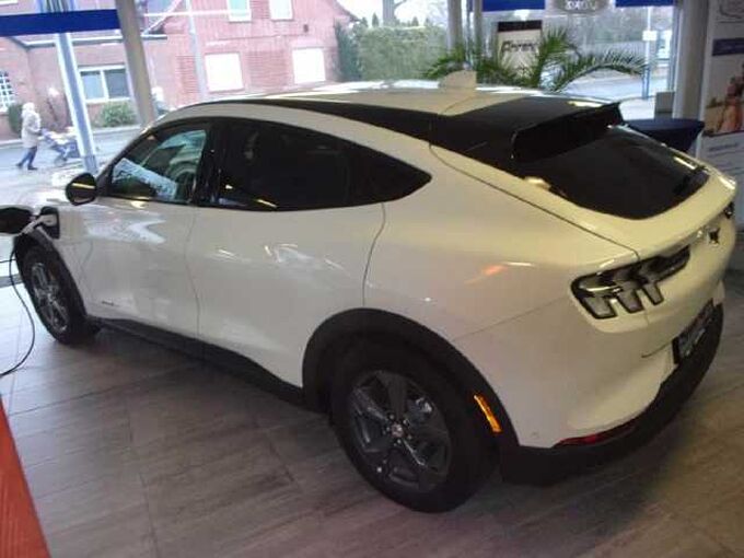 Ford Mustang Mach-E Basis