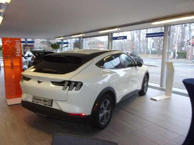 Ford Mustang Mach-E Basis