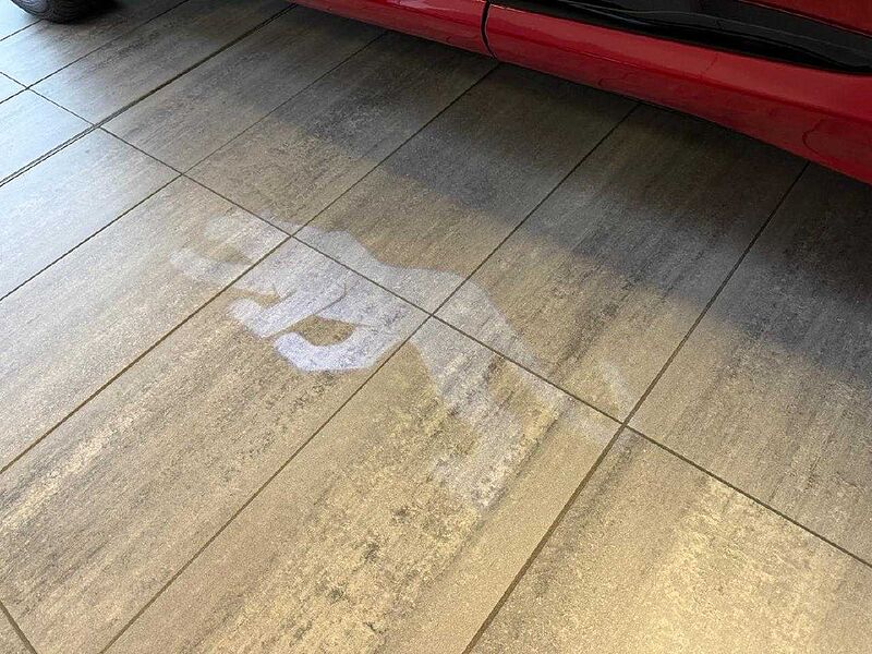 Ford Puma Gen-E 124 kW FWD *Winter-Paket-Komfort-Paket*