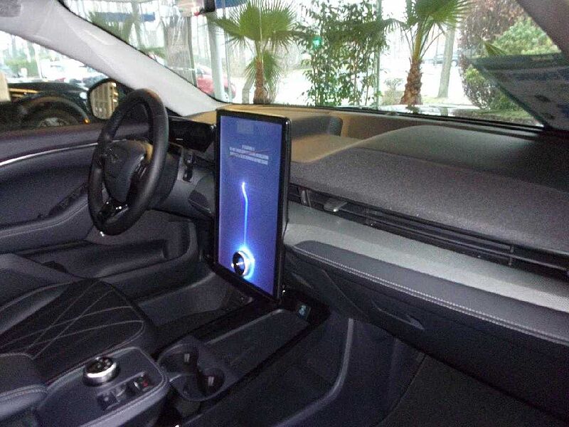 Ford Mustang Mach-E Basis