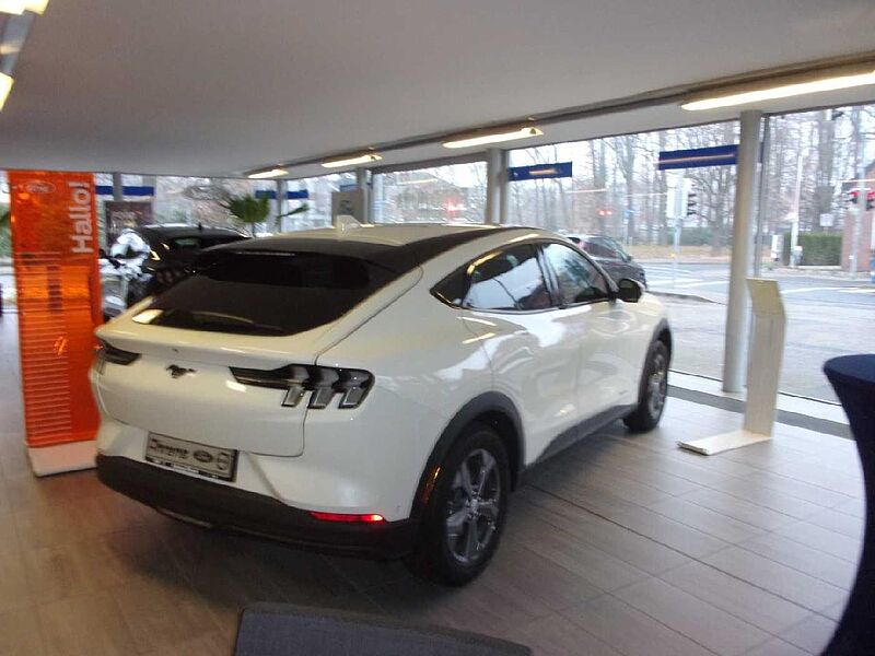 Ford Mustang Mach-E Basis