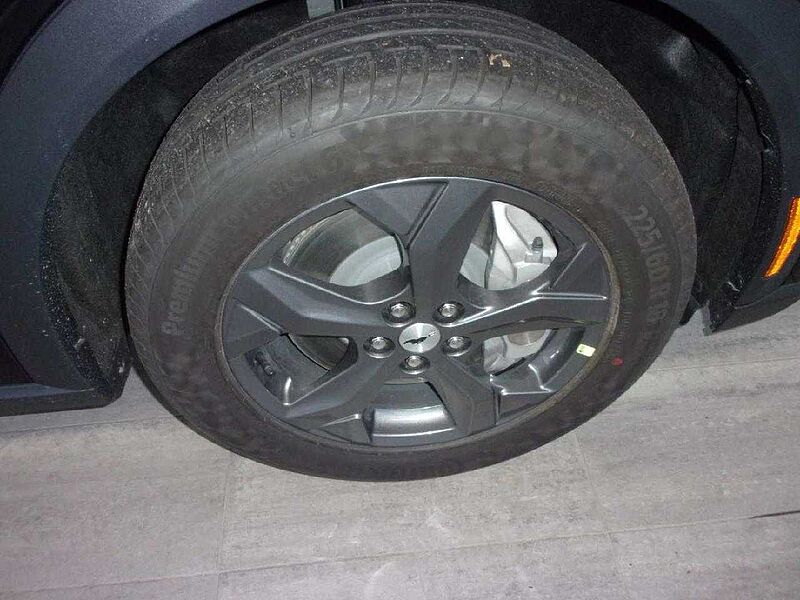 Ford Mustang Mach-E Basis